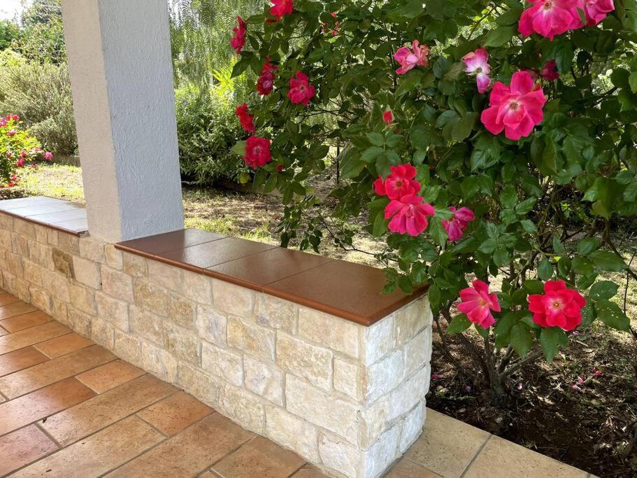 Villa Rose Country Cassano delle Murge Exterior foto